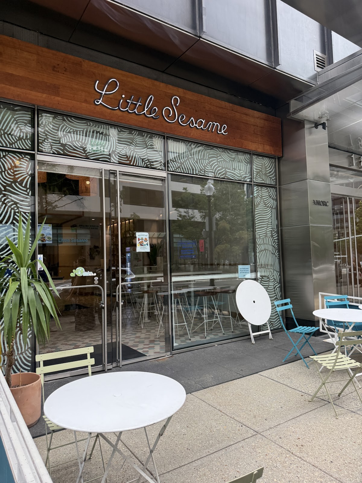 Little Sesame: the place
