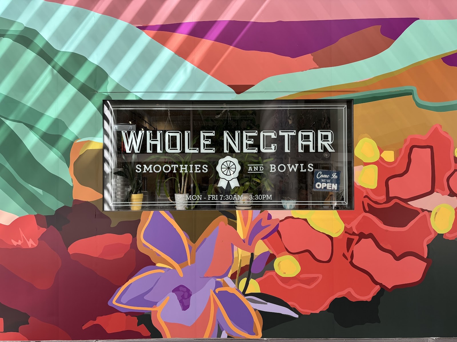 Whole Nectar Smoothie Bar: the place