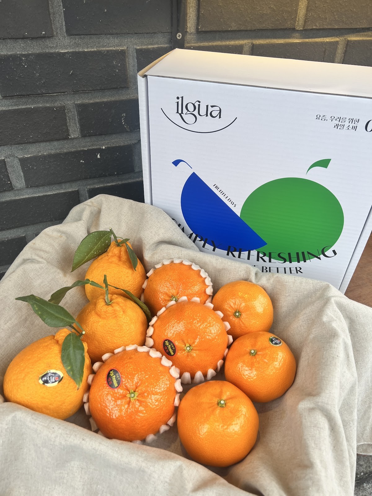 Ilgua Eat Fresh: food & drinks