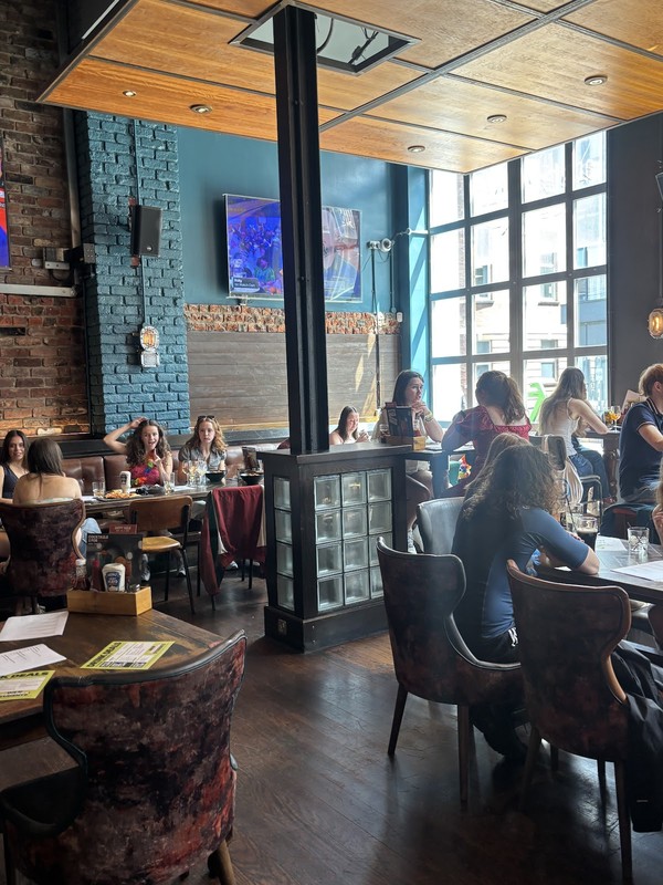 Bungalows & Bears: photo 4