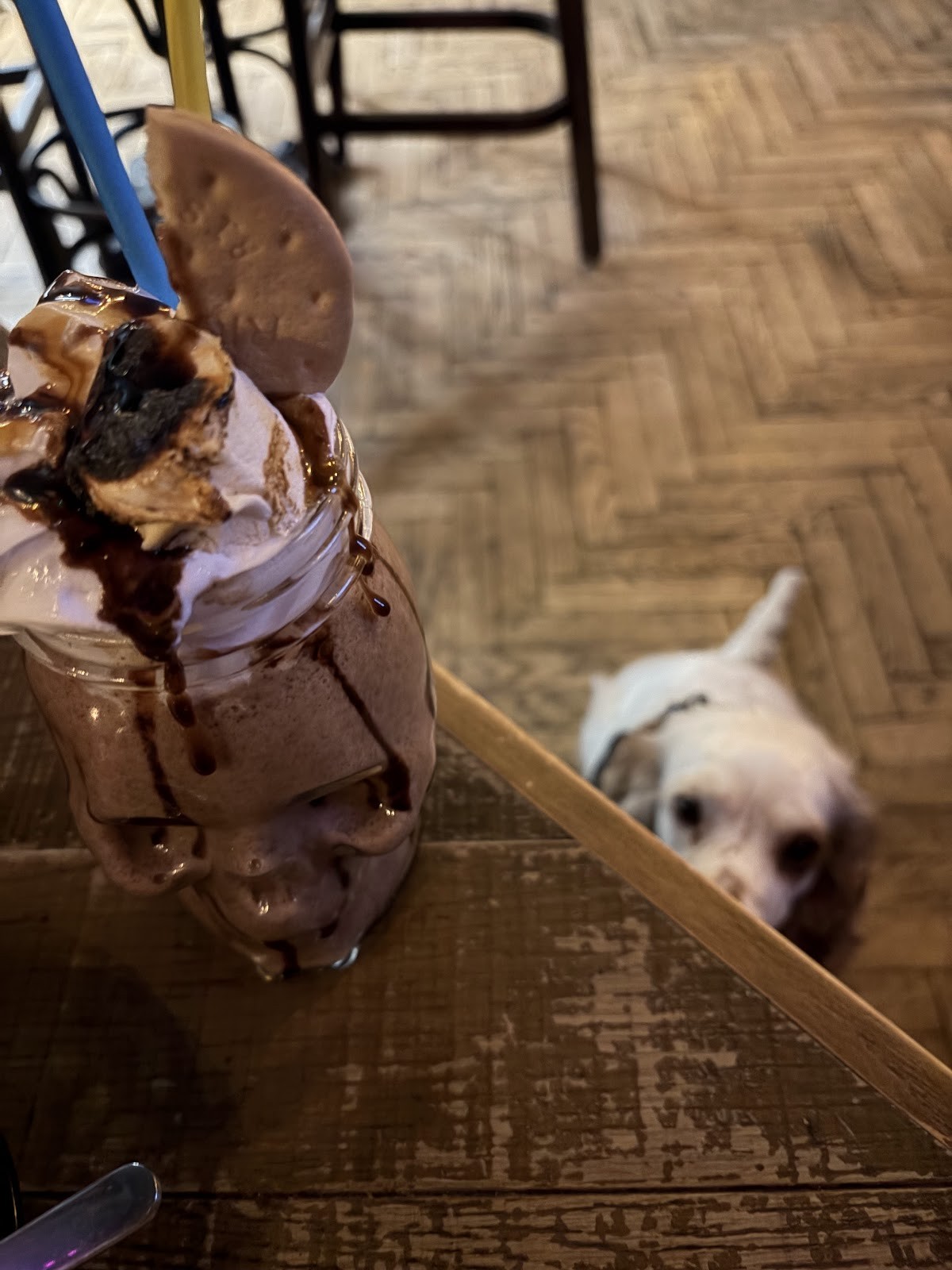 Meadows Tap: food & drinks