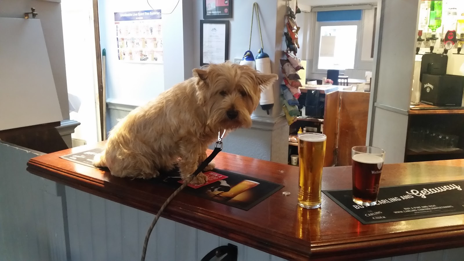 The Blue Anchor Portslade: the place