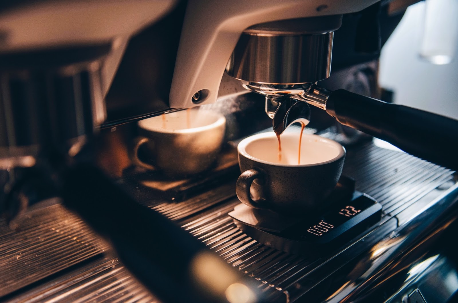 WOLFOX Lab - Speciality Coffee: the place
