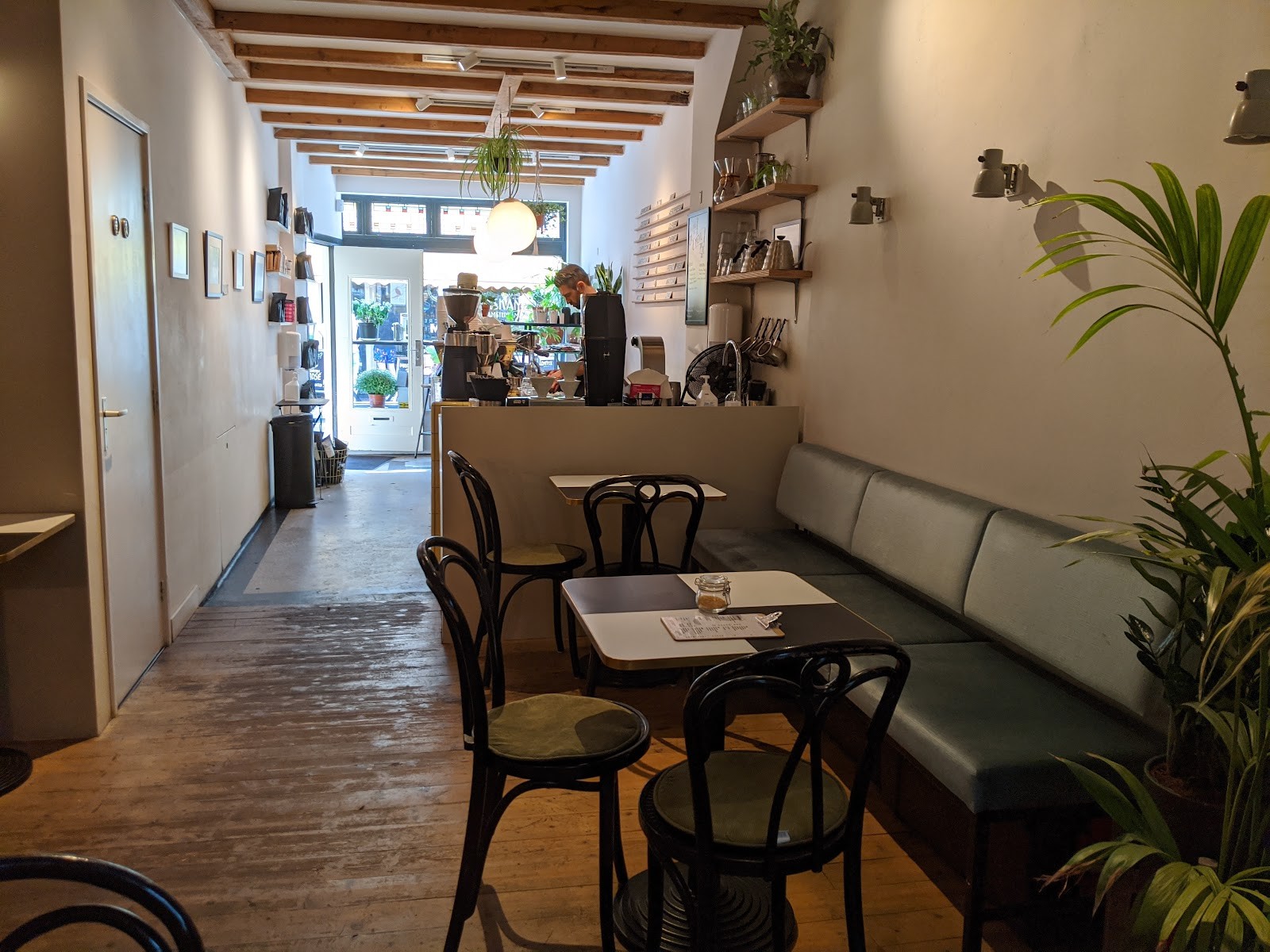 Screaming Beans: the place
