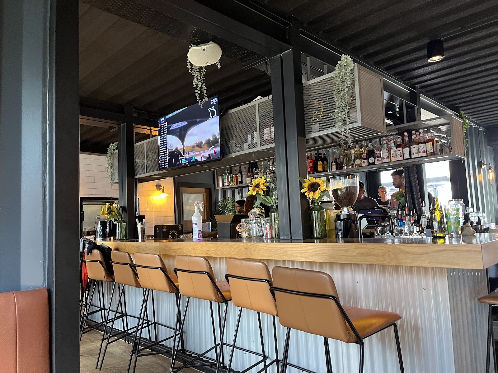 The Canary: the place