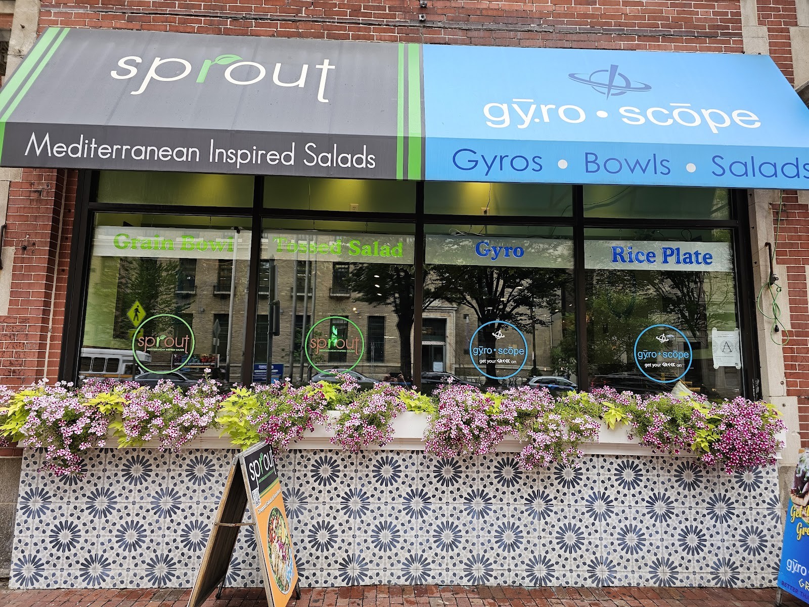 Sprout Mediterranean Inspired Salads: the place
