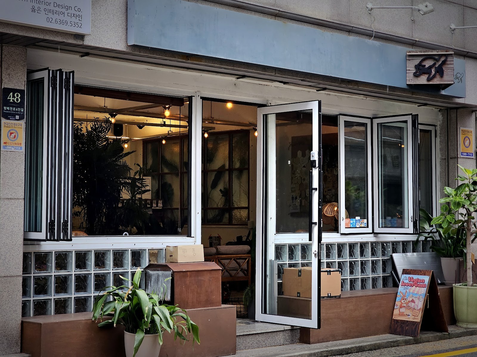 Cafe Turtle: the place