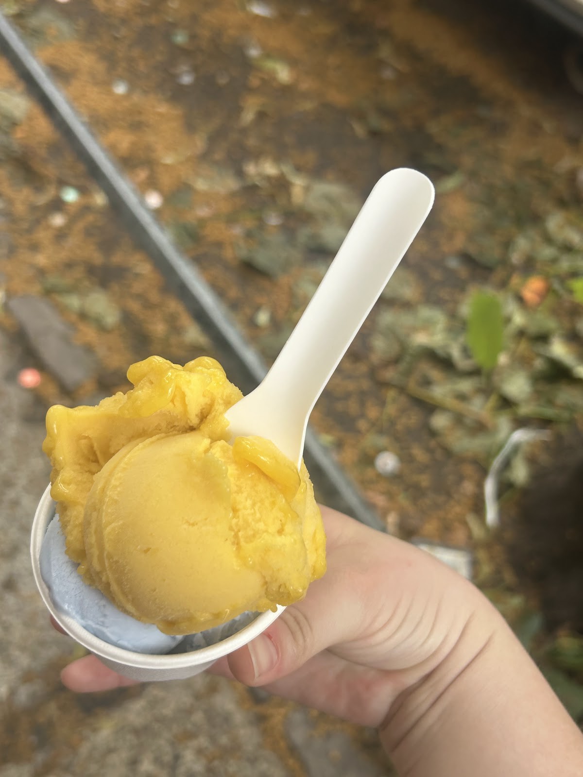 Tribeca Ice Cream Friedrichshain: food & drinks