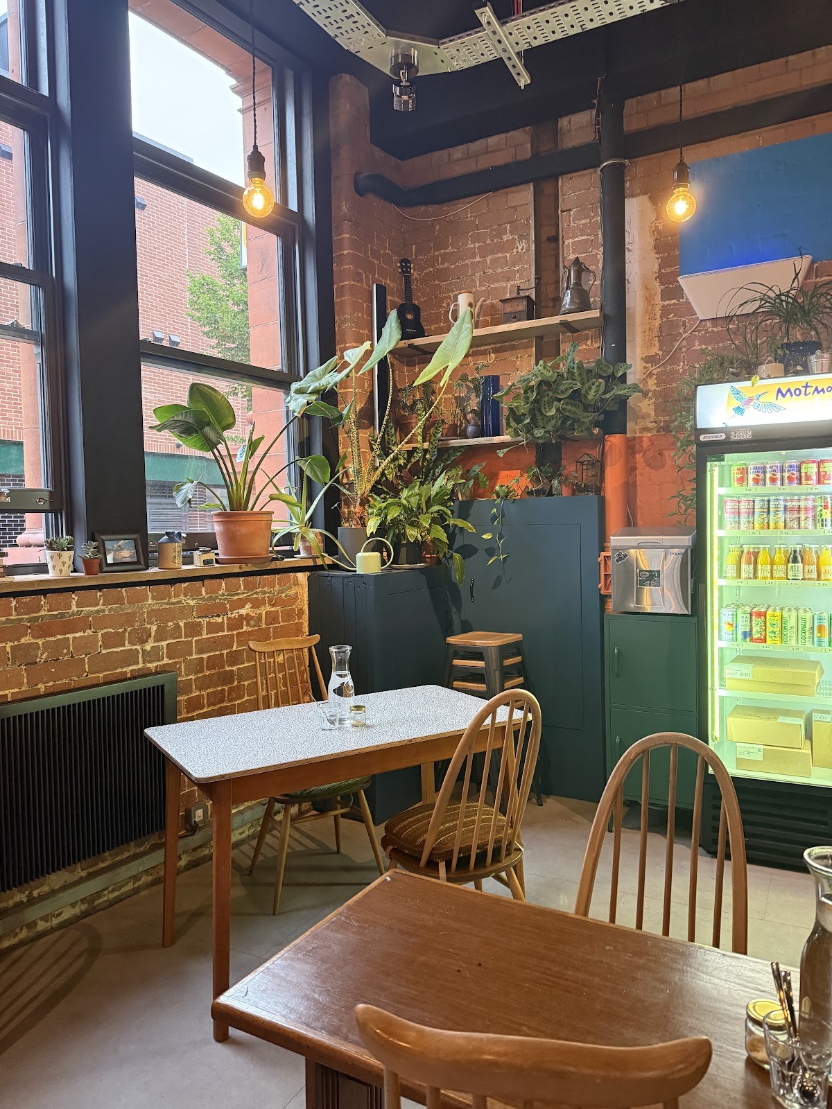 Motmot Coffee & Bar: the place