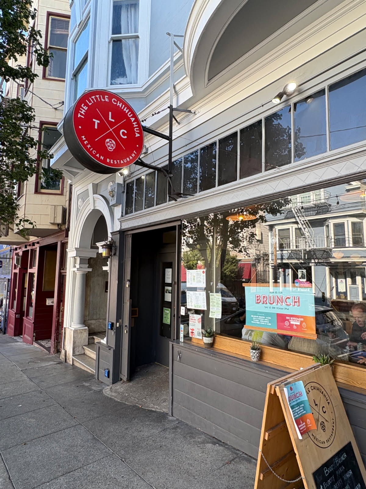 The Little Chihuahua: the place