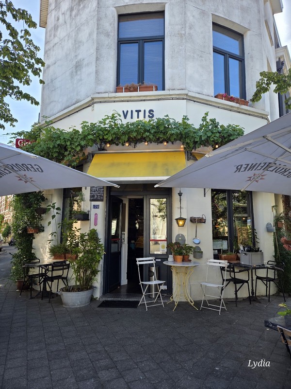 Vitis: photo