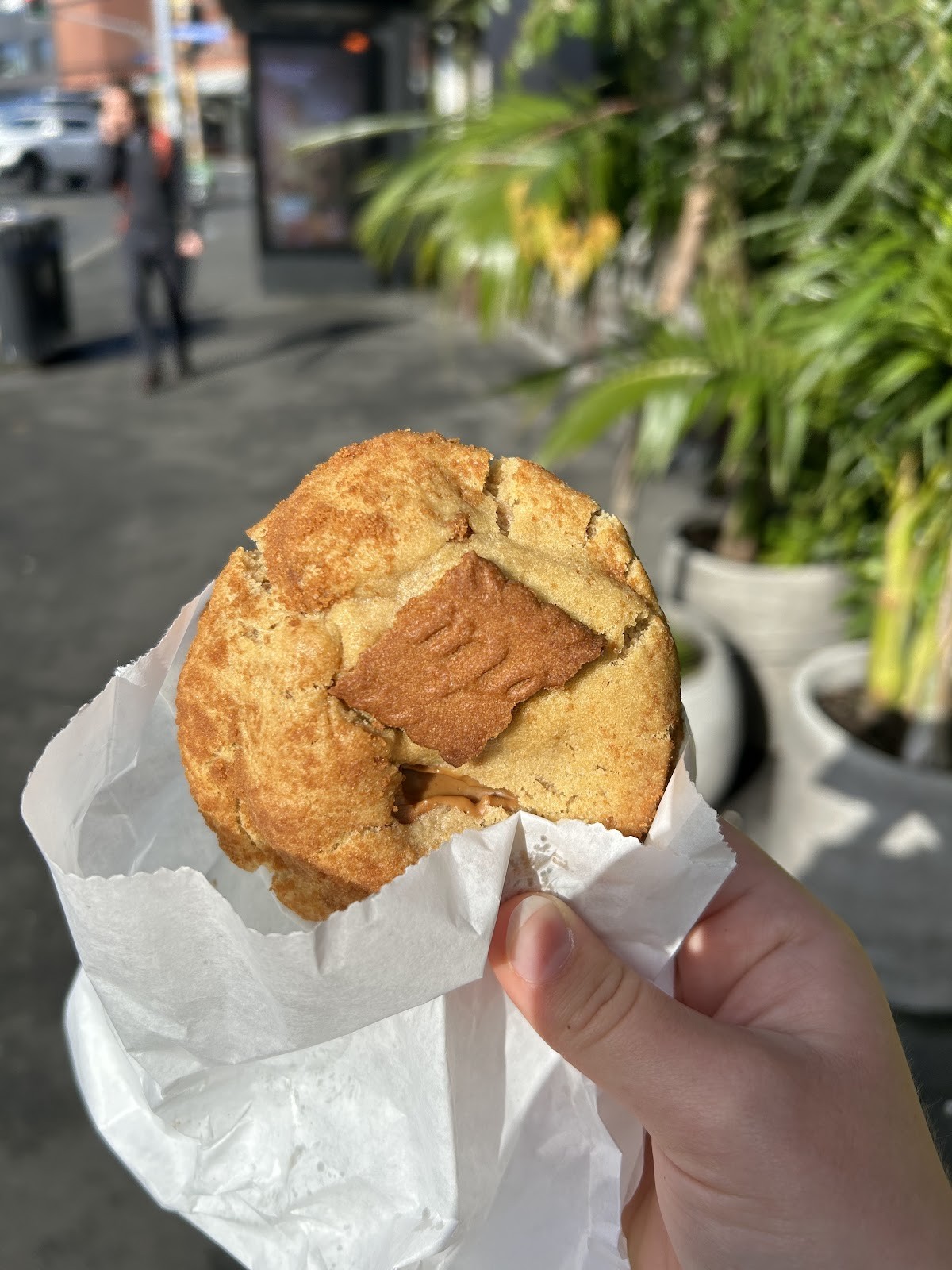 The Vegan Treatory: food & drinks