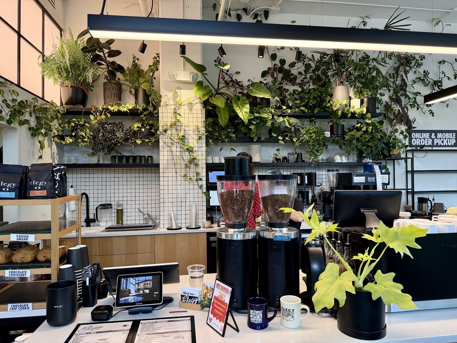 Elegy Coffee WeHo: the place