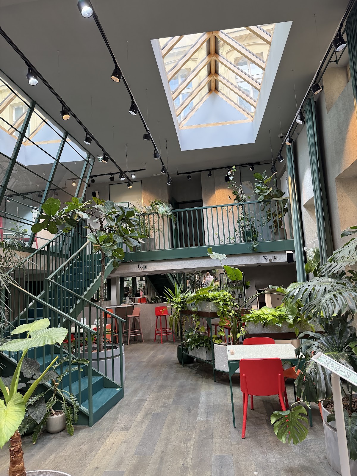 Healthy Longevity Café – Restaurant: the place