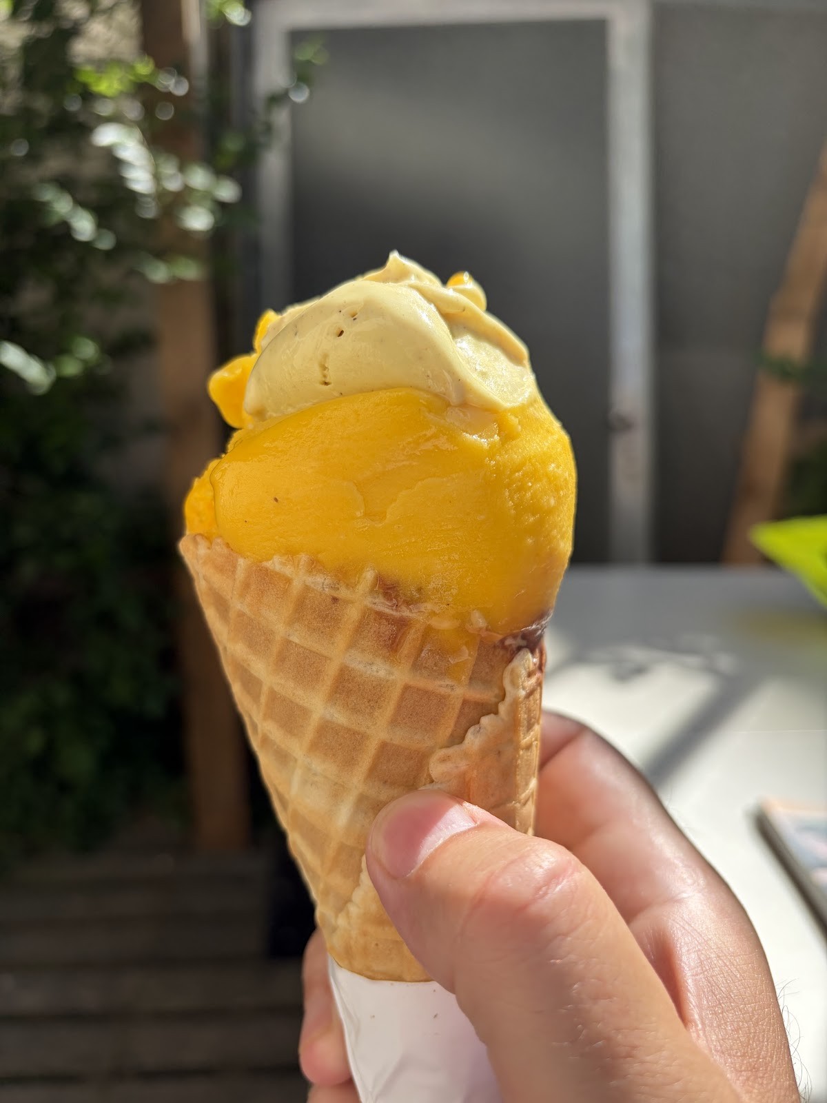 Velobis: food & drinks