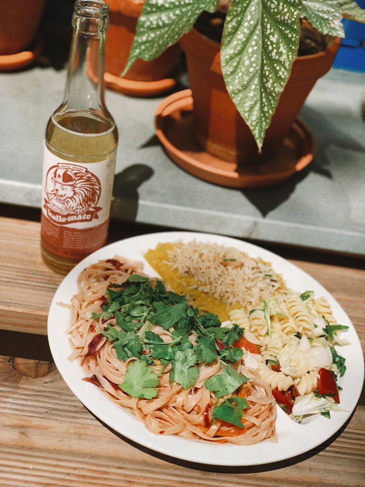 Sandokan Vegan Bistro: food & drinks