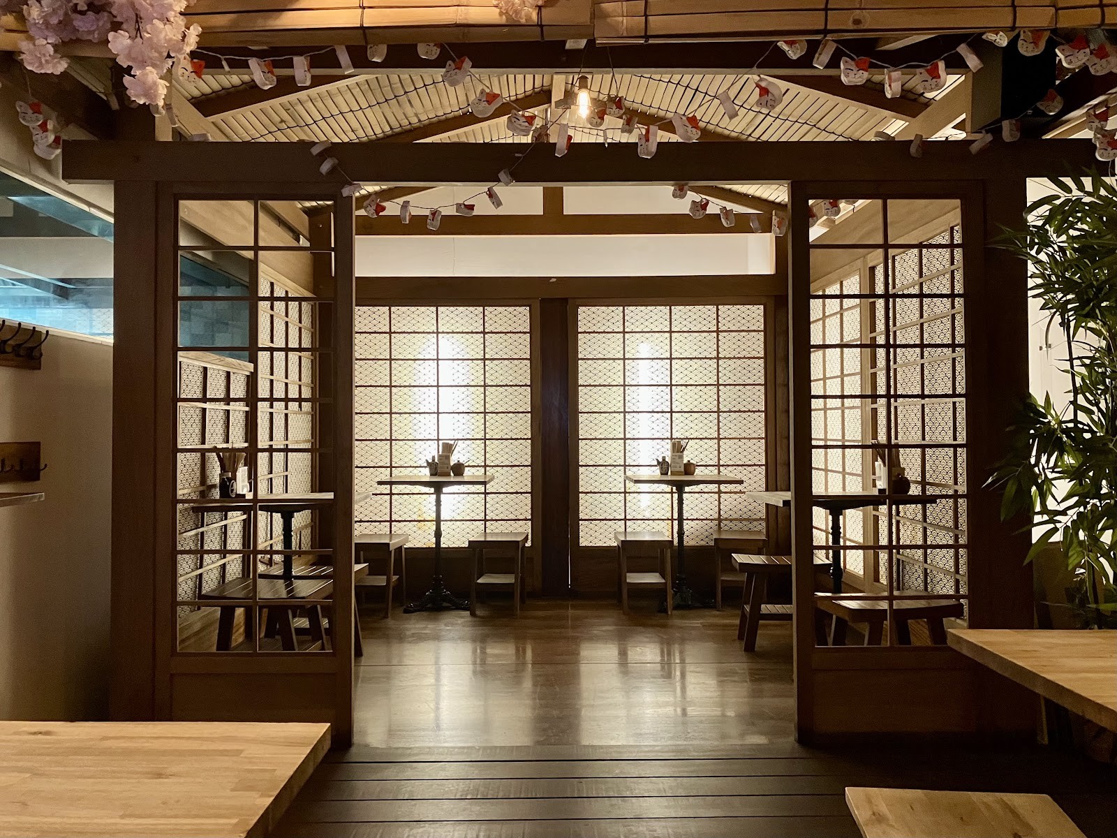 Neko Ramen Green: the place