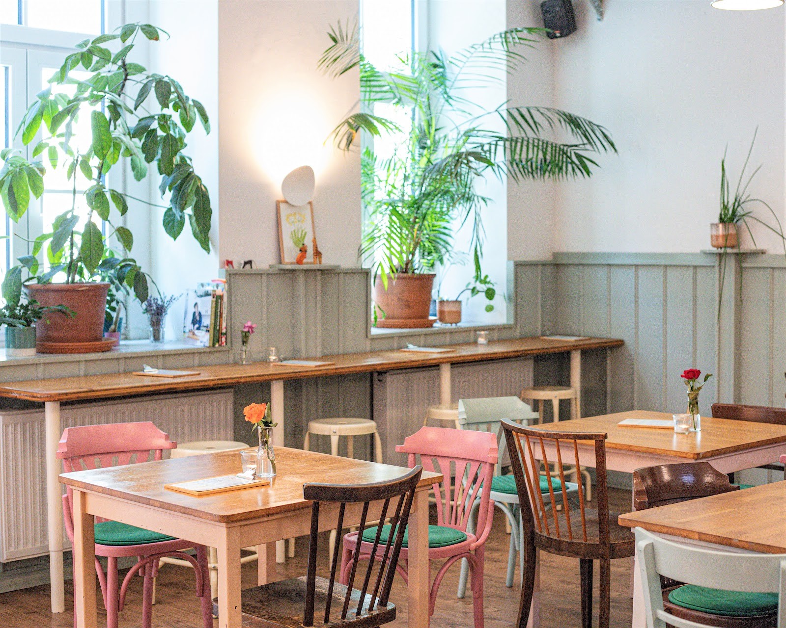 Sattva Vegan: the place