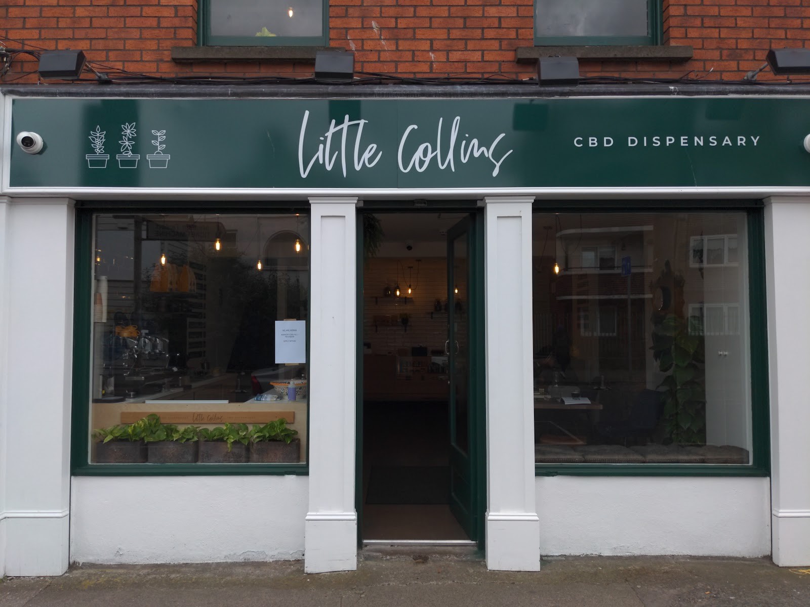 Little Collins CBD Dispensary: the place