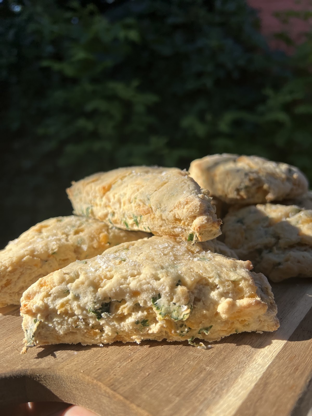 Starfish Bakery: food & drinks