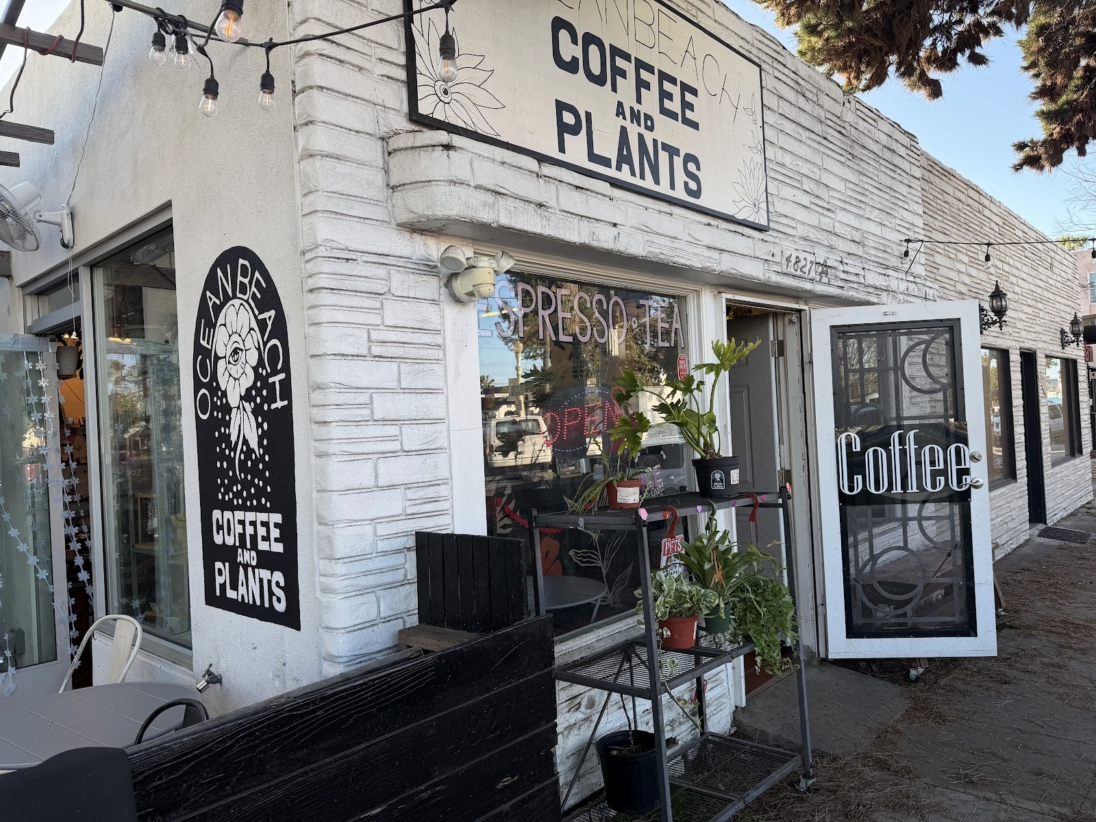Ocean Beach Coffee and Plants: the place