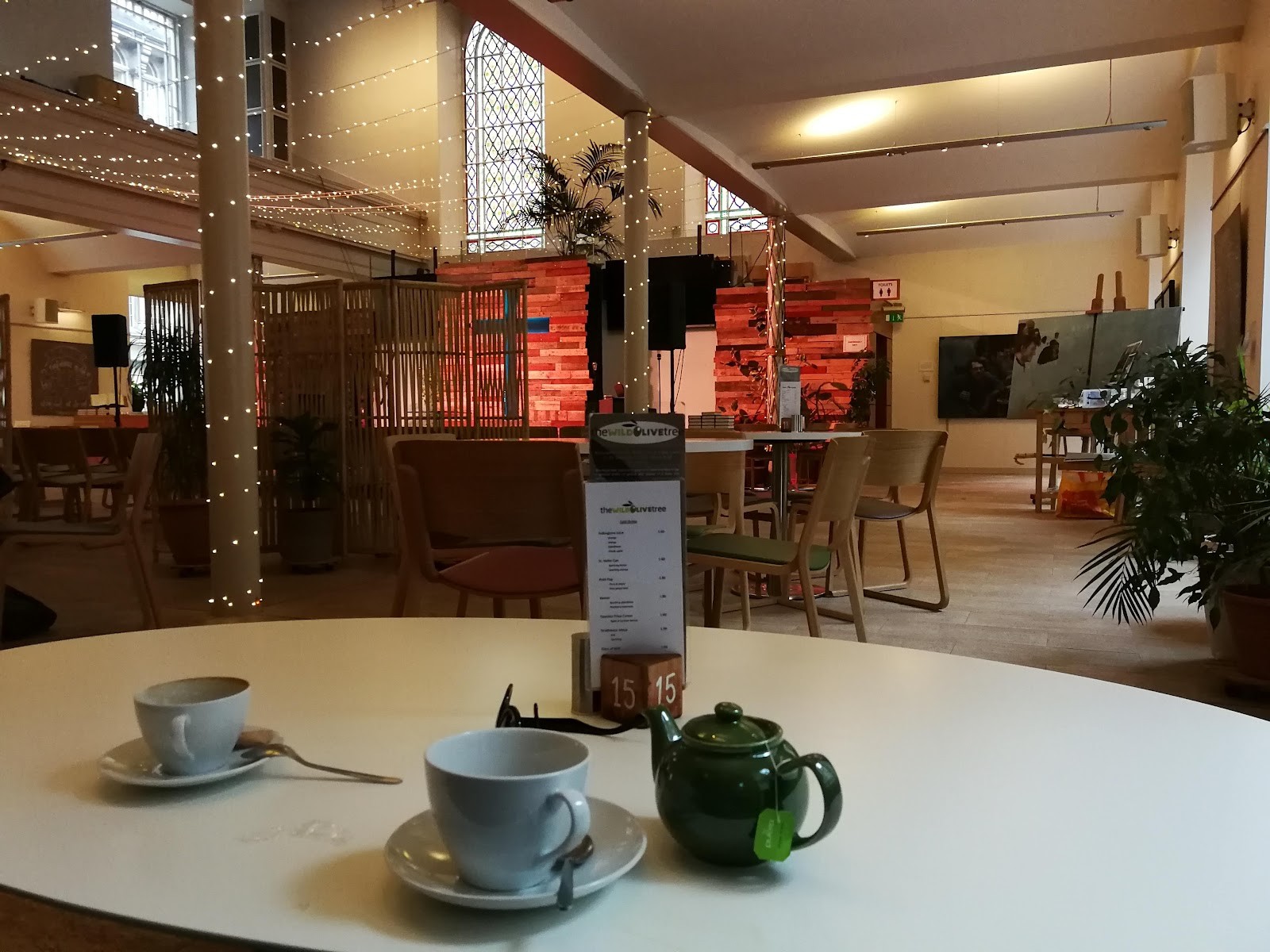 The Wild Olive Tree: the place
