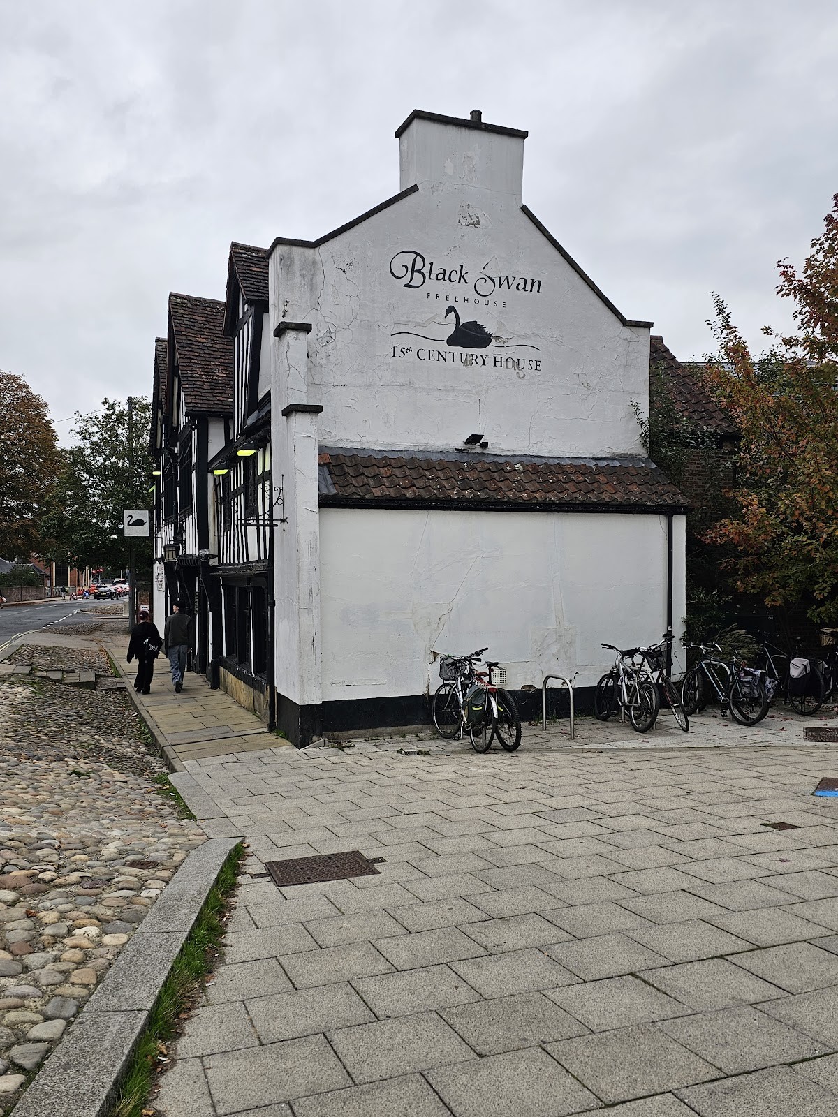 The Black Swan: the place