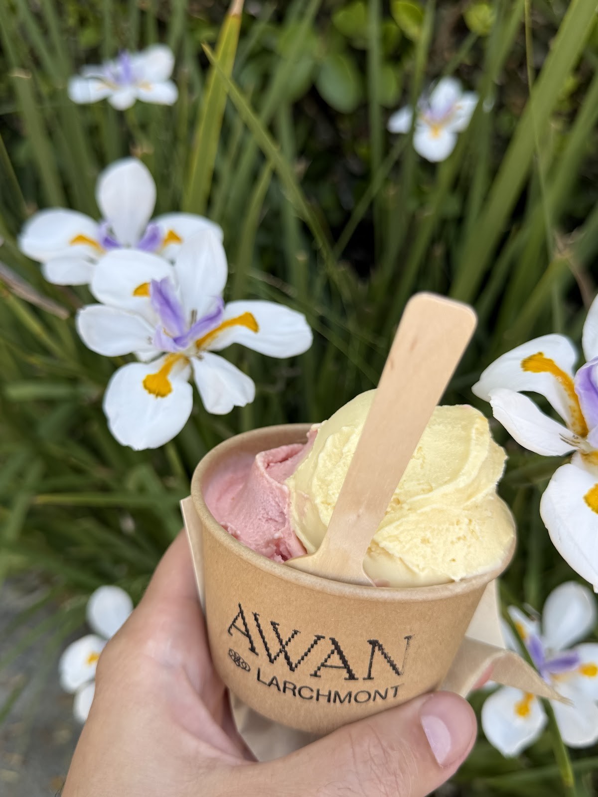AWAN: food & drinks