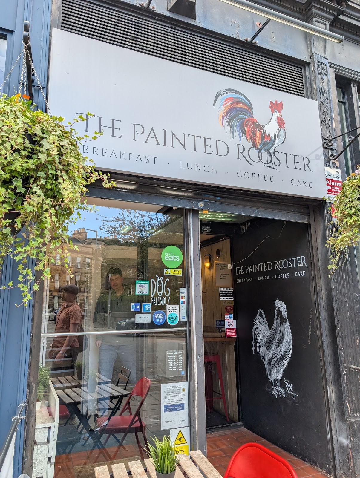The Painted Rooster: the place