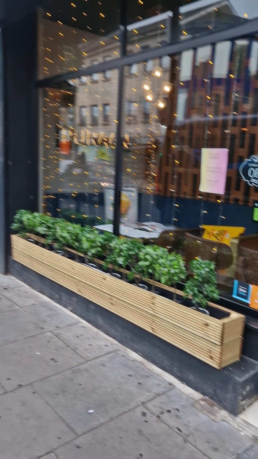 Puraan Indian Vegetarian and vegan Restaurant: the place