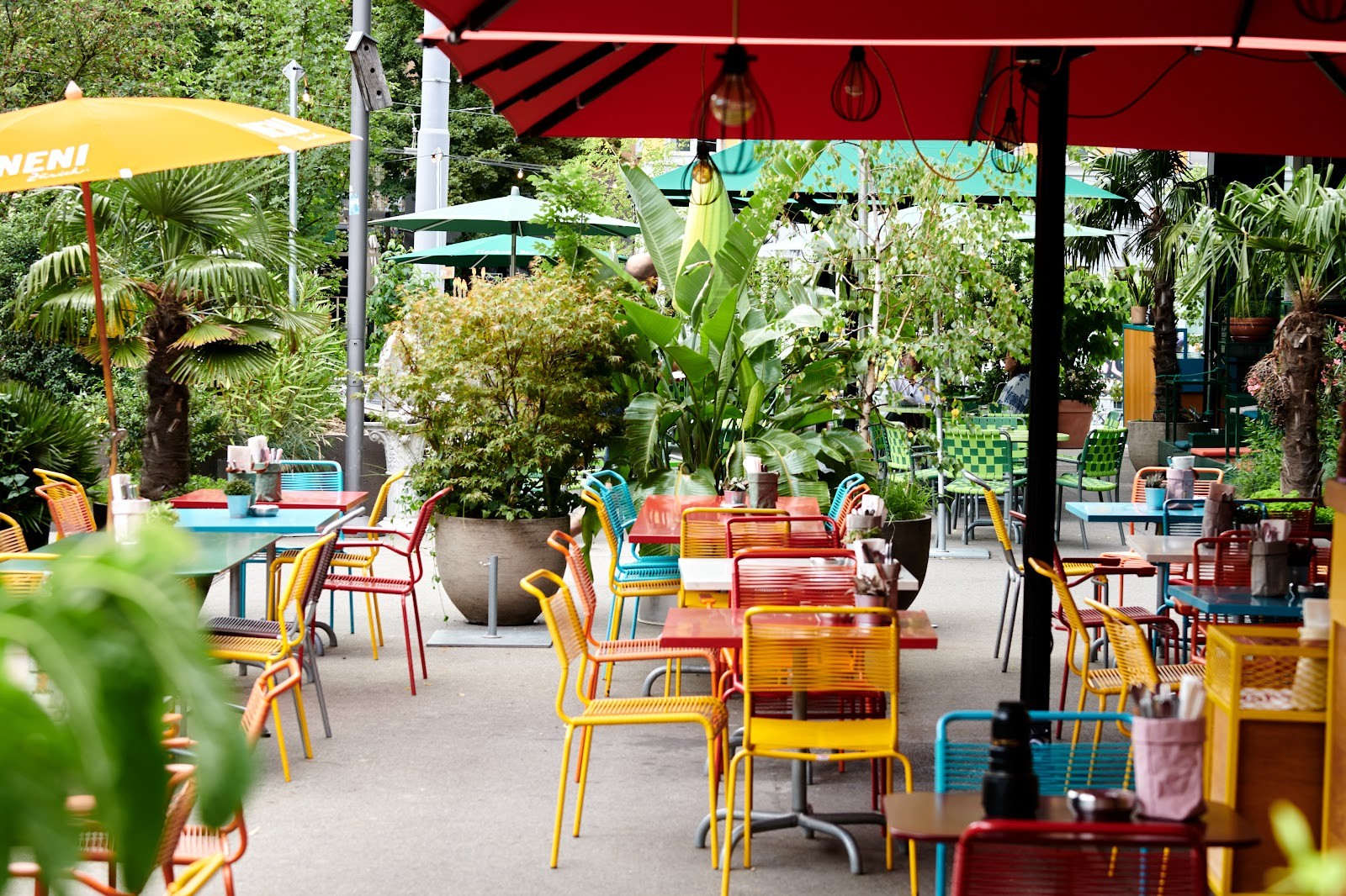Neni: the place