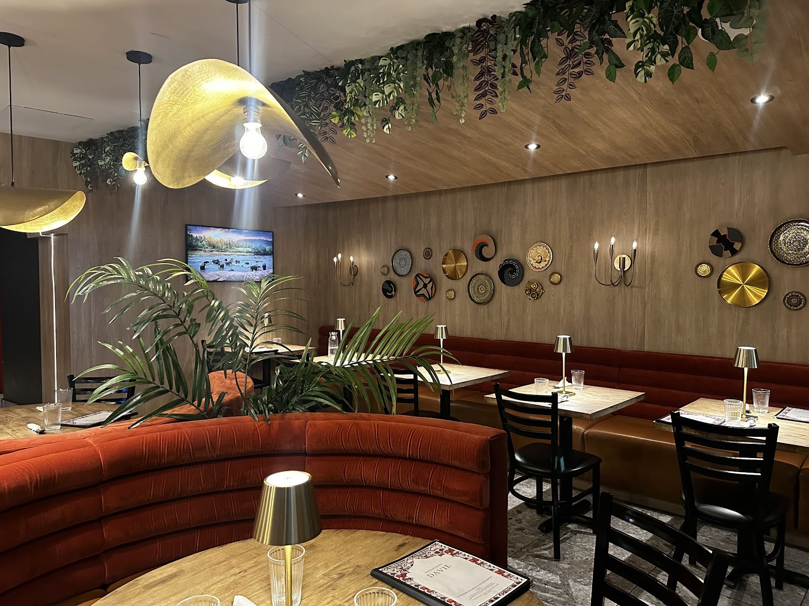 House of Dosas | Davie St: the place