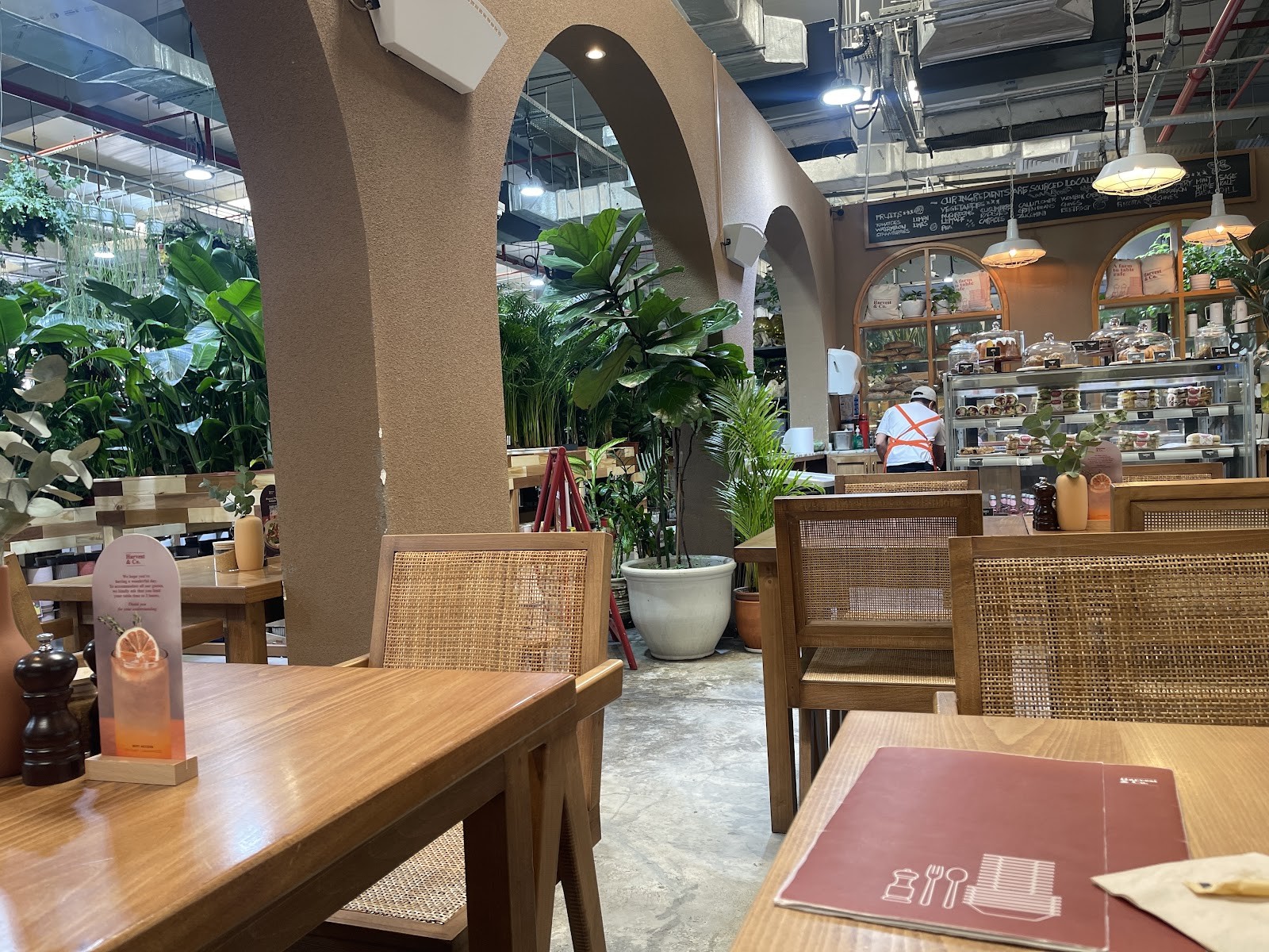 Harvest & Co - Dubai Garden Centre: the place