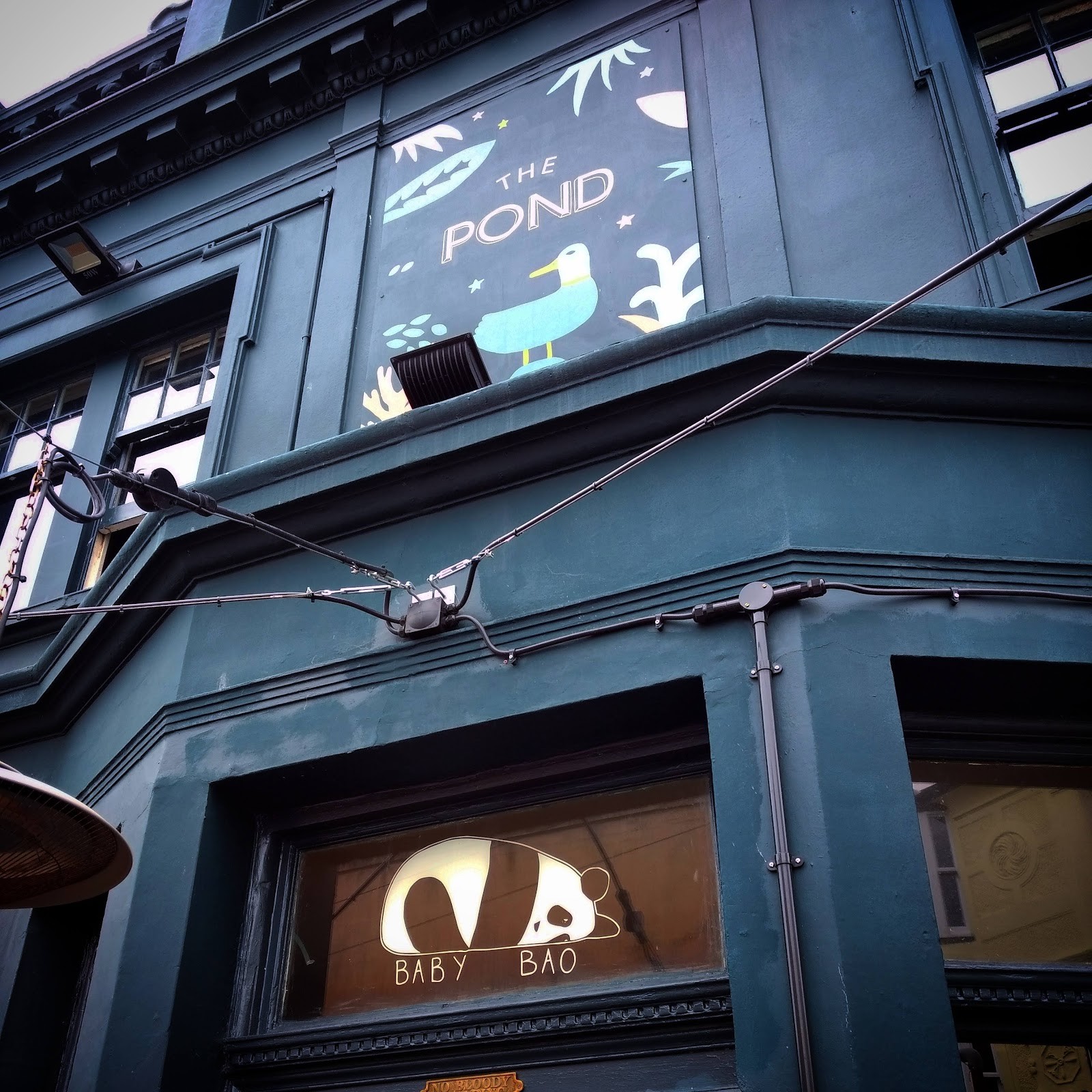 The Pond: the place