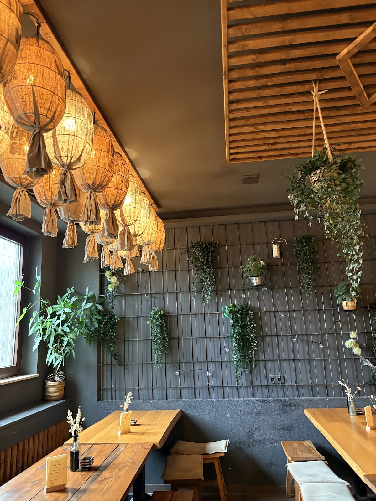 Büffel & Koi: the place