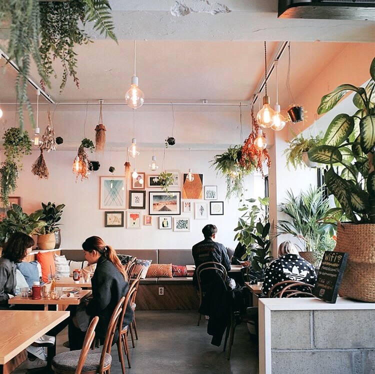 Plant Cafe Seoul (Itaewon): the place